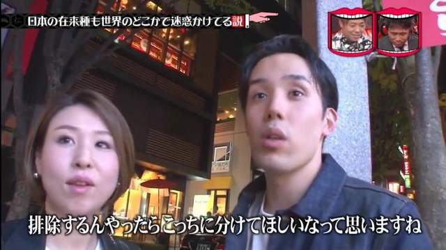 圖片11 圖片11
