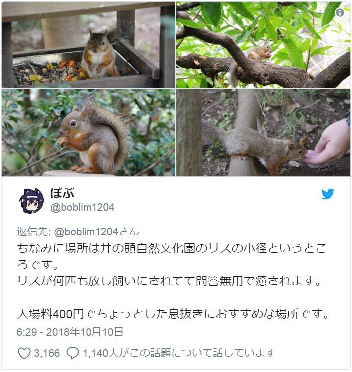 圖片5 圖片5