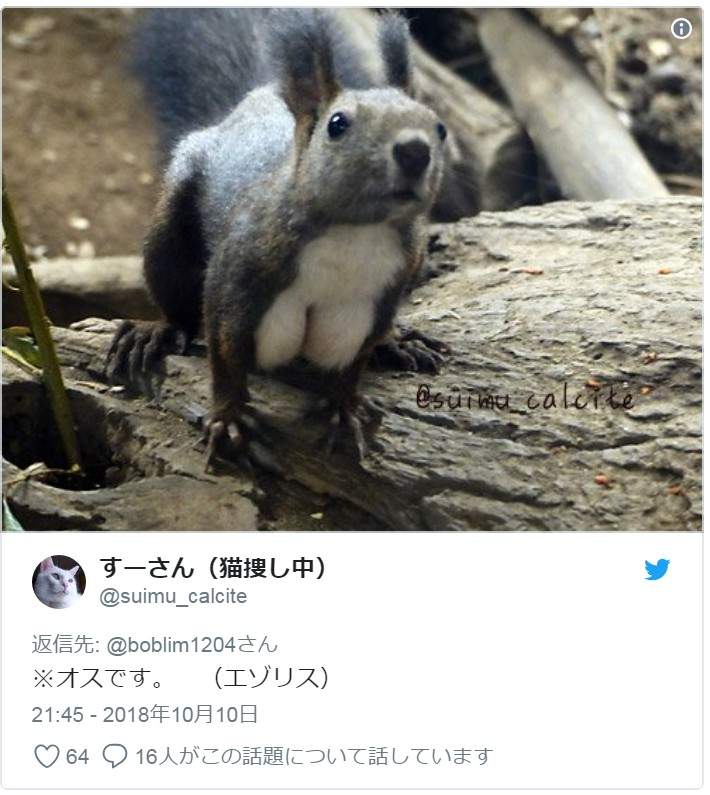 圖片10 圖片10