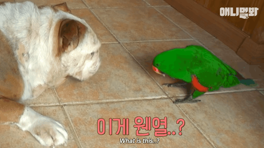 圖片5 圖片5