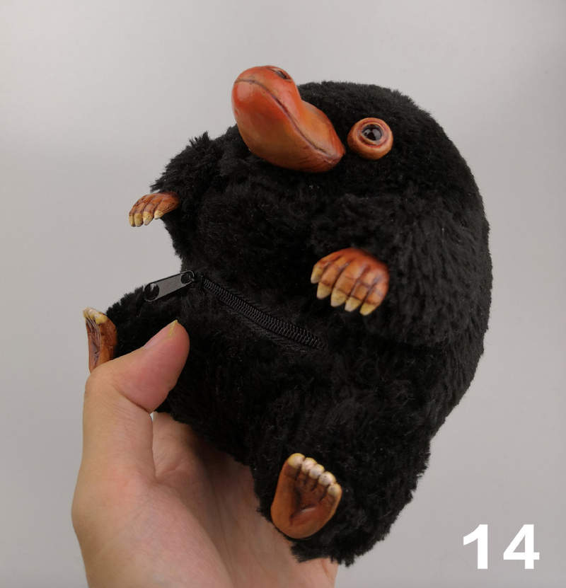 圖片19 圖片19