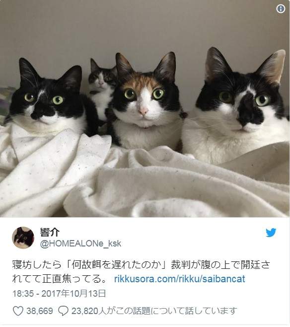 圖片9 圖片9