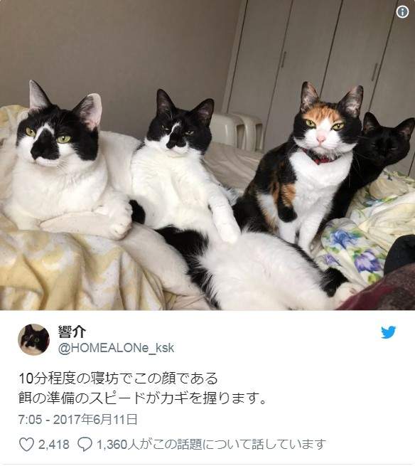 圖片10 圖片10