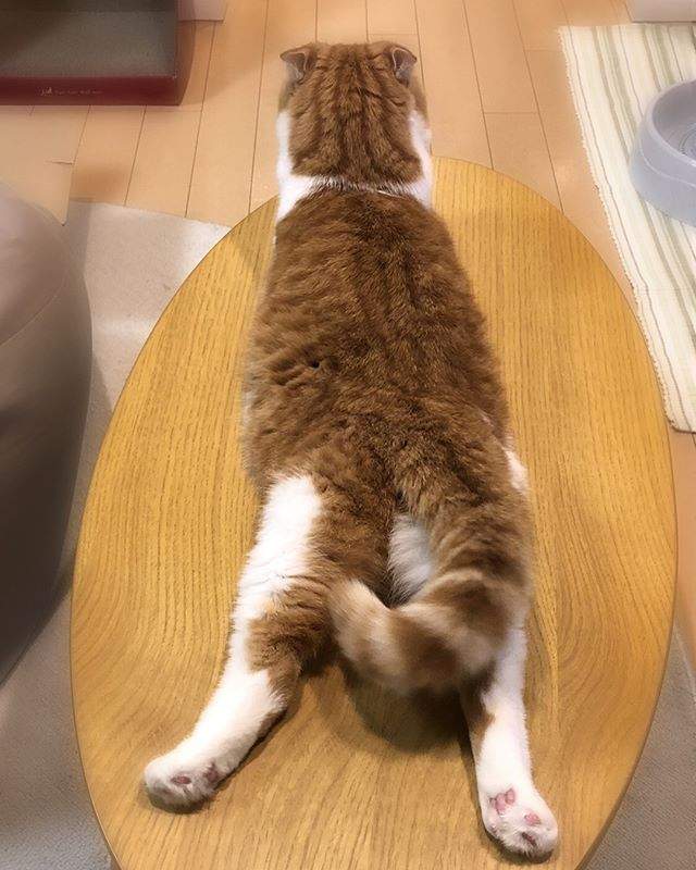 圖片11 圖片11