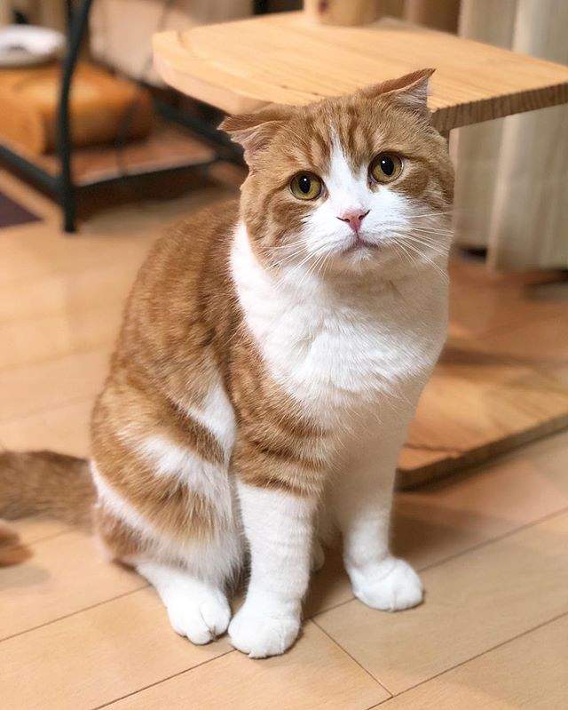 圖片13 圖片13