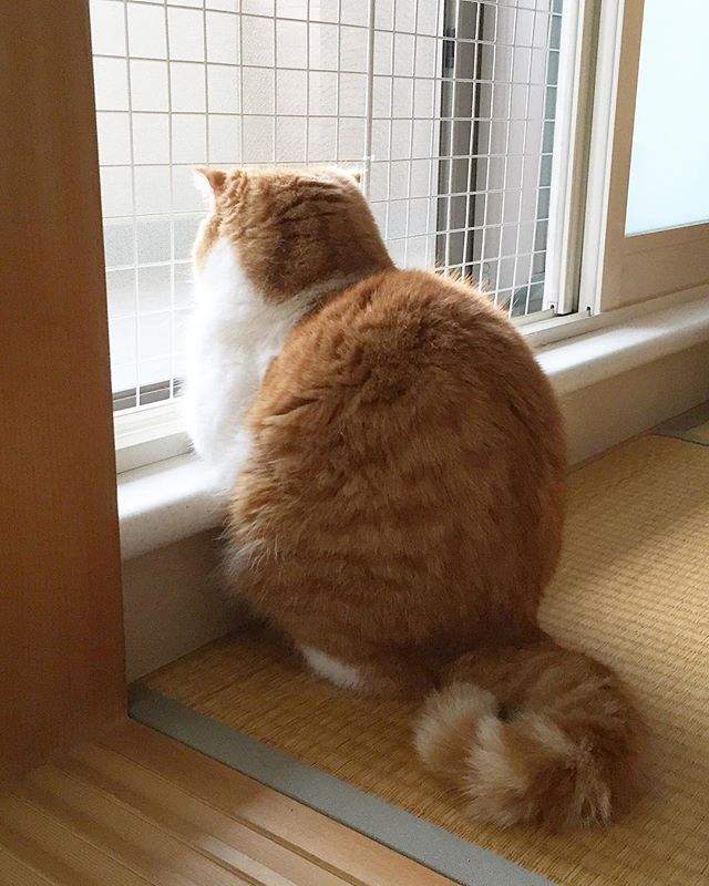 圖片4 圖片4