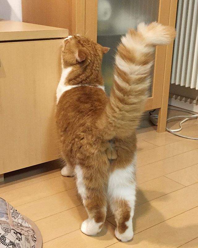 圖片5 圖片5