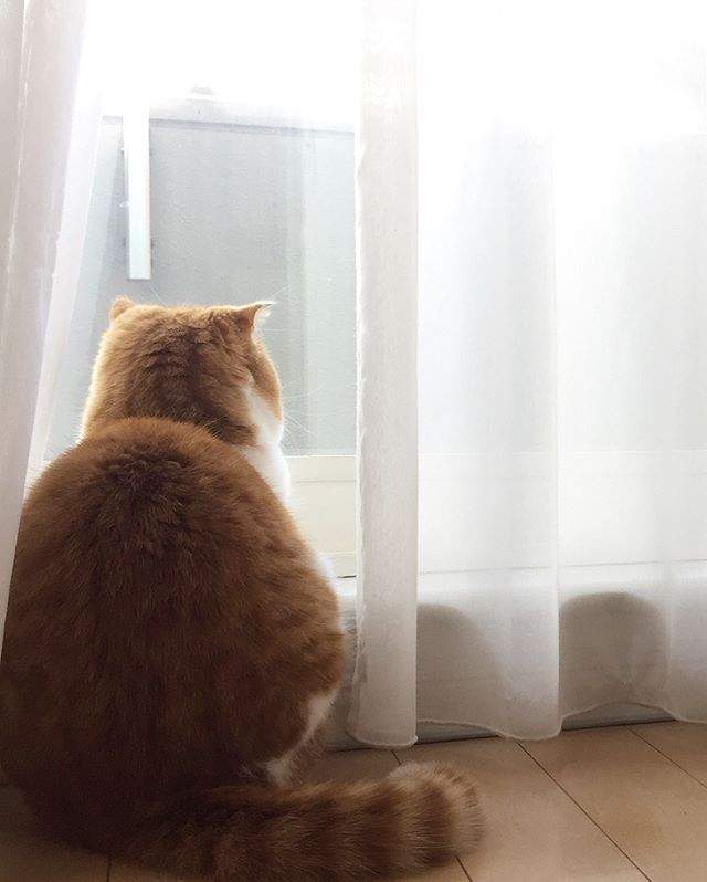 圖片6 圖片6