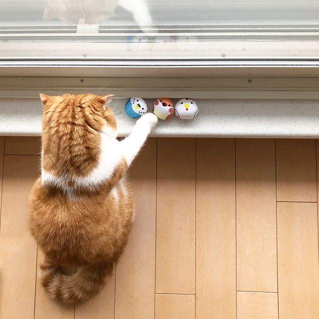 圖片9 圖片9