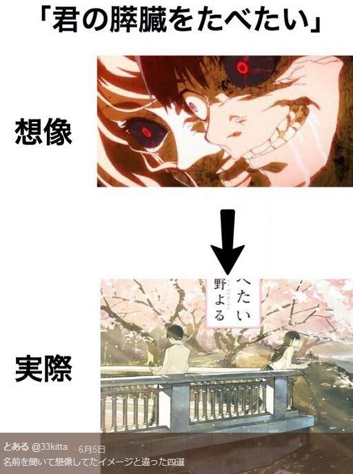 圖片13 圖片13