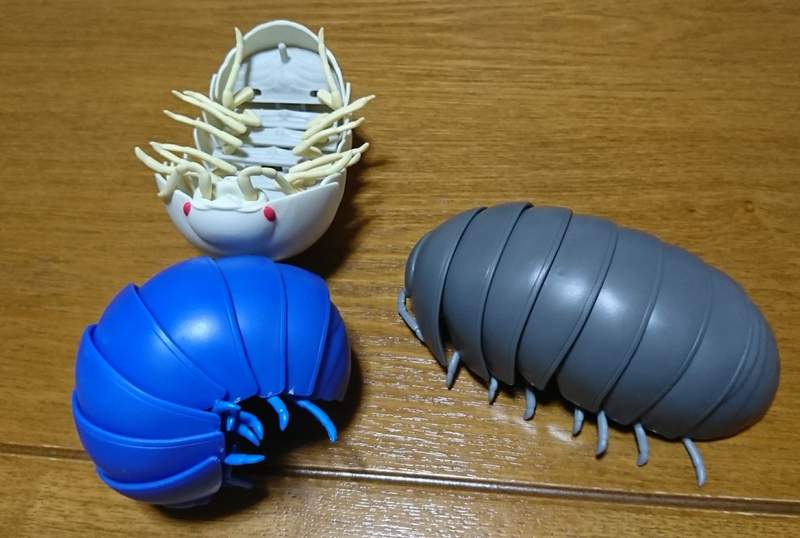 圖片5 圖片5