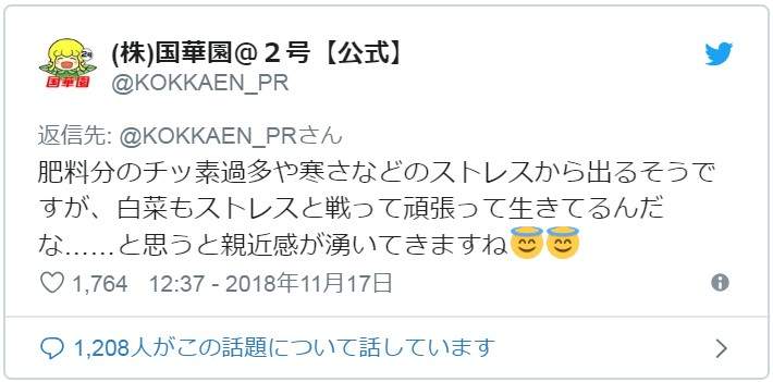 圖片4 圖片4