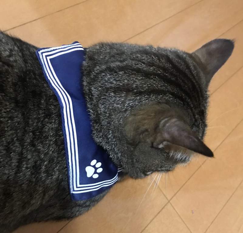圖片5 圖片5