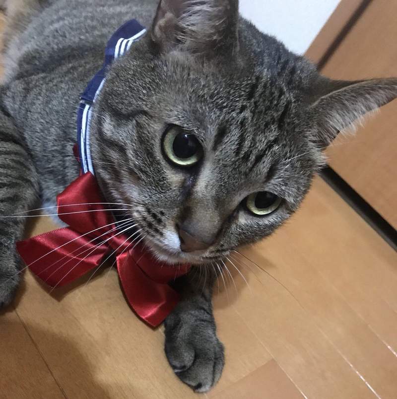 圖片4 圖片4