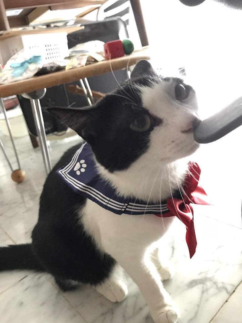 圖片6 圖片6