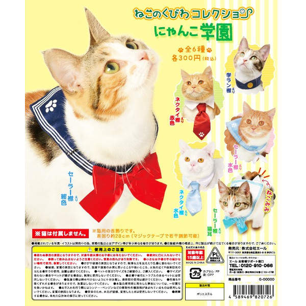 圖片12 圖片12