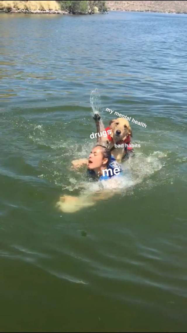 圖片14 圖片14