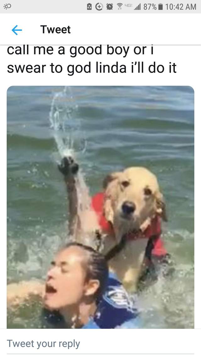 圖片10 圖片10