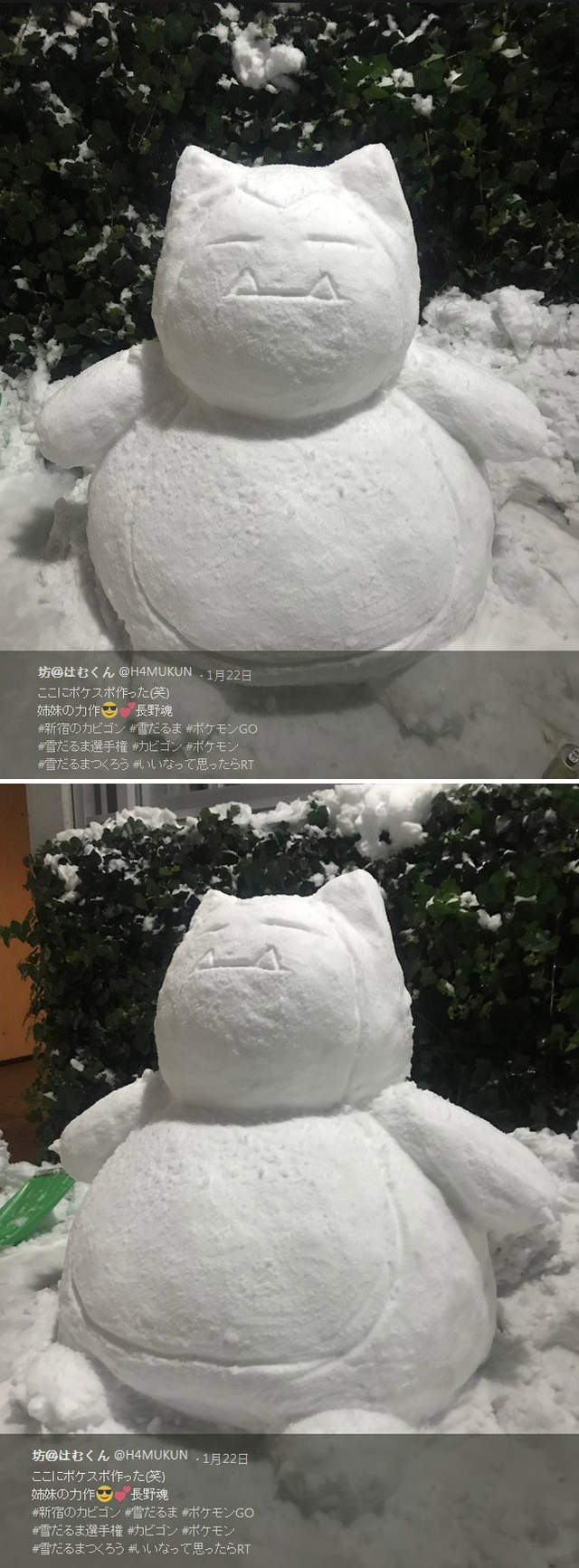 圖片5 圖片5