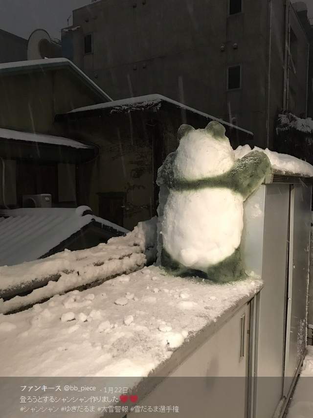 圖片11 圖片11