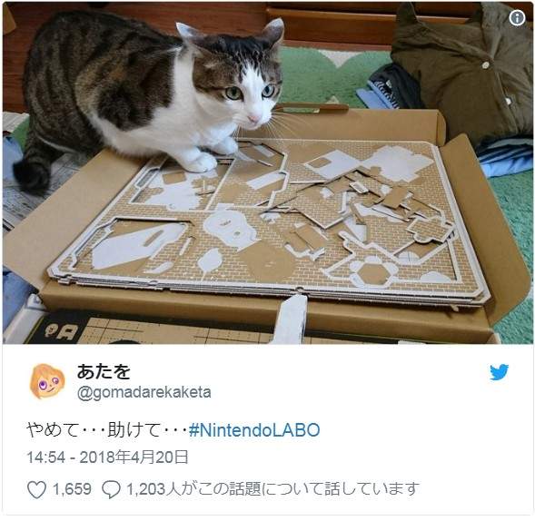 圖片9 圖片9