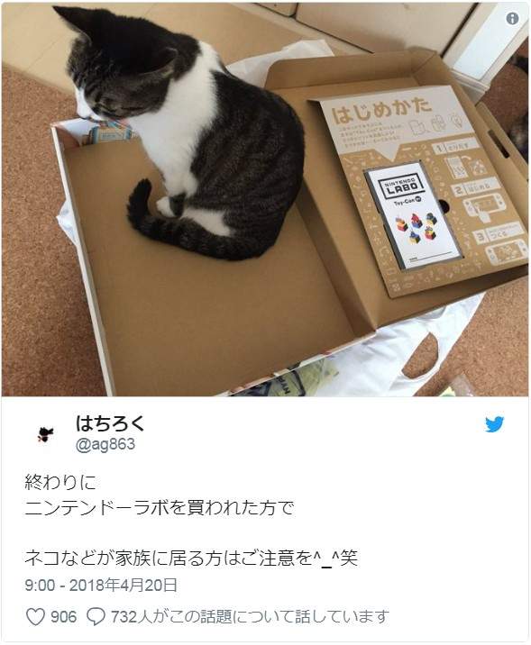 圖片6 圖片6