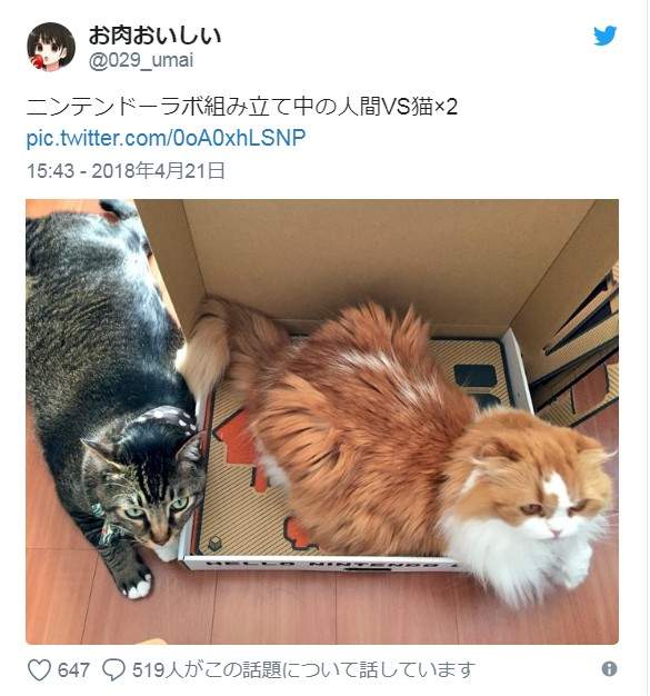 圖片8 圖片8
