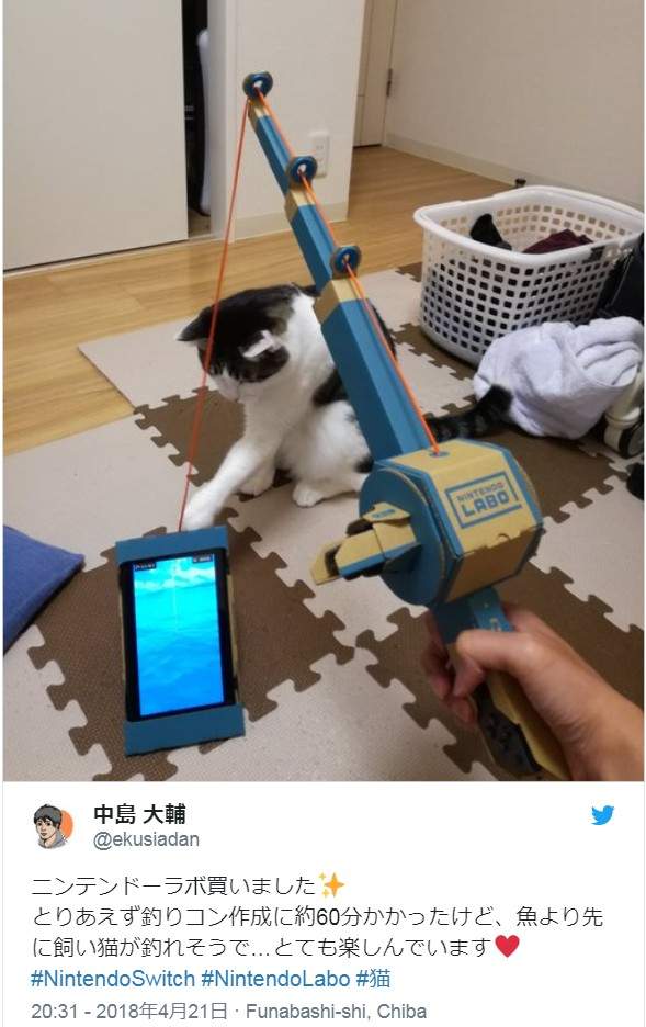 圖片11 圖片11