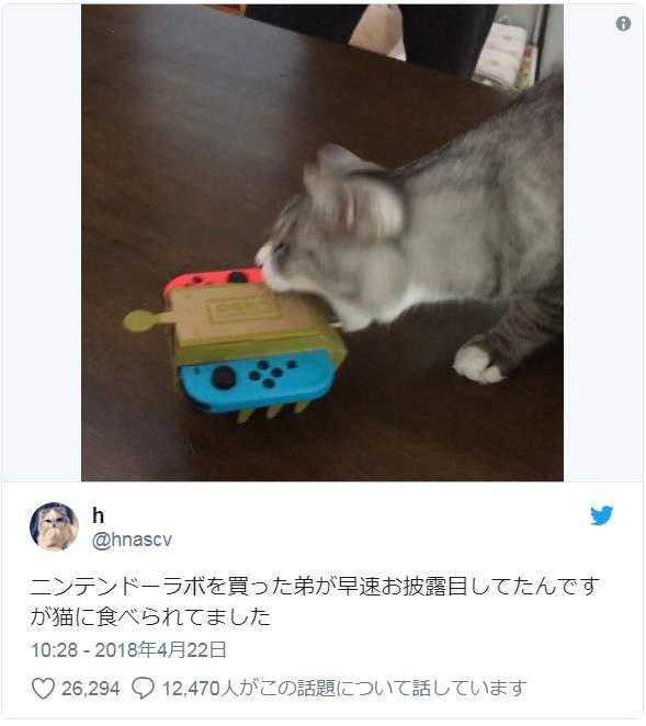 圖片10 圖片10