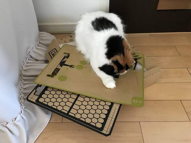 圖片7 圖片7
