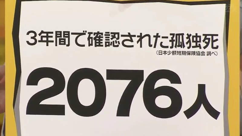 圖片15 圖片15