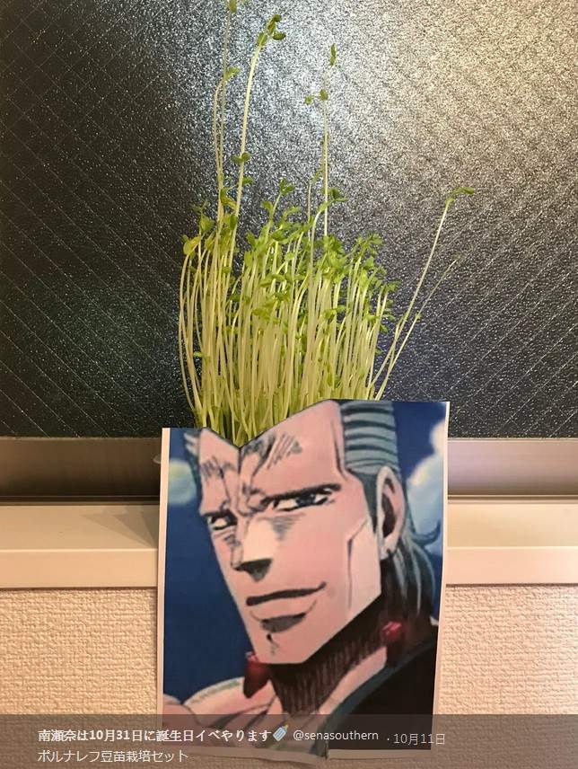 圖片4 圖片4