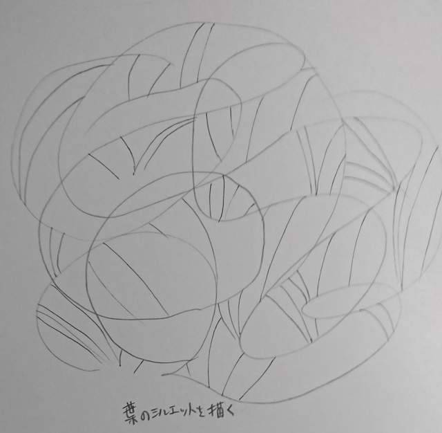 圖片11 圖片11