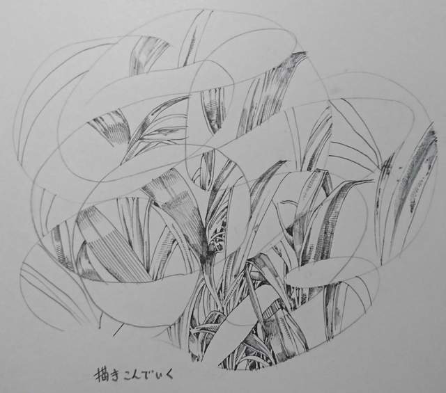 圖片12 圖片12