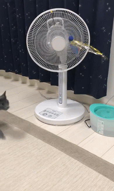 圖片5 圖片5