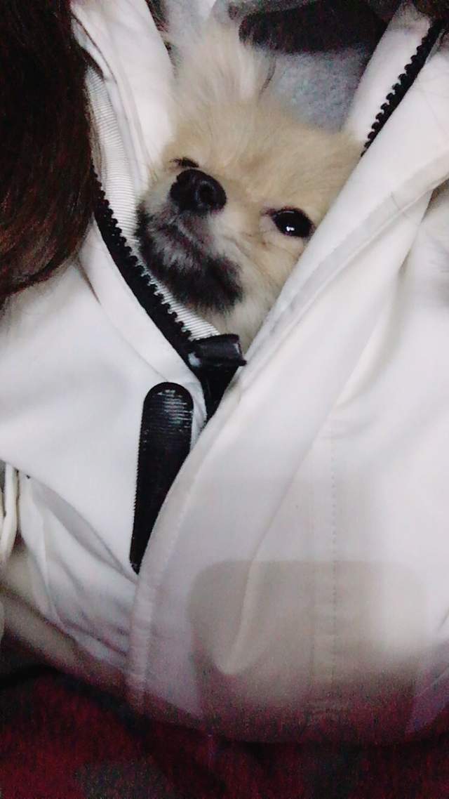 圖片4 圖片4
