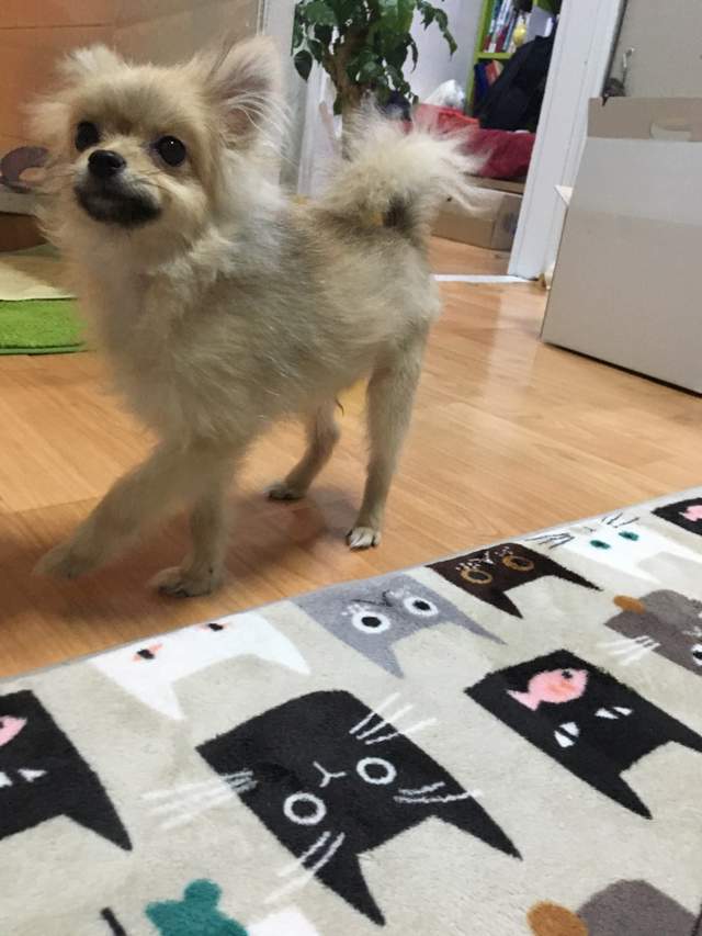 圖片5 圖片5