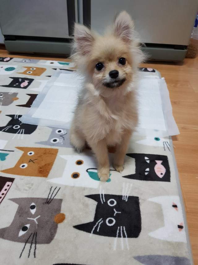 圖片7 圖片7