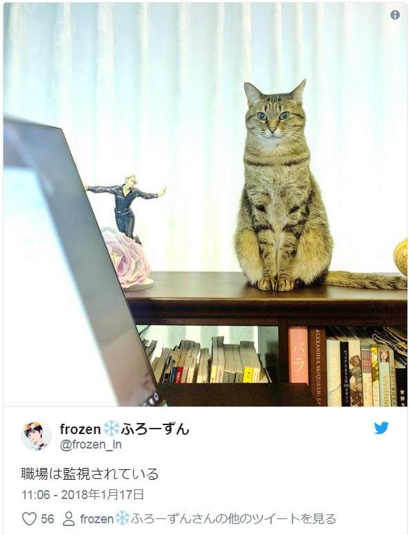 圖片6 圖片6