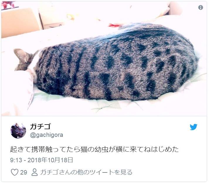 圖片4 圖片4