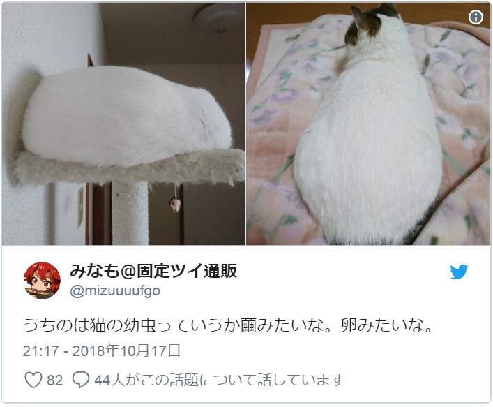 圖片8 圖片8