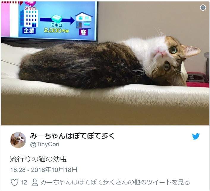 圖片11 圖片11