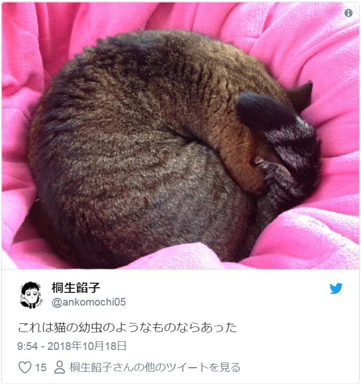 圖片6 圖片6