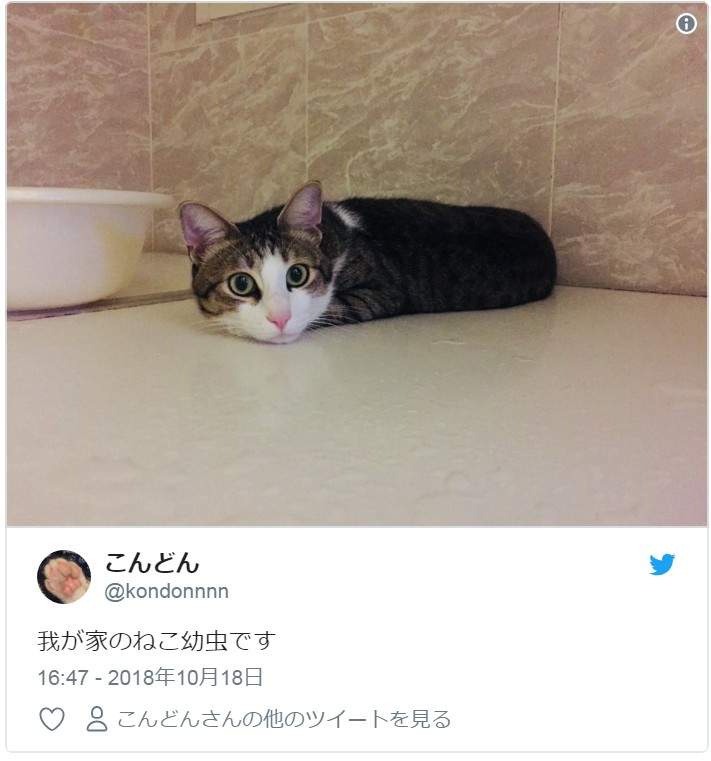 圖片10 圖片10