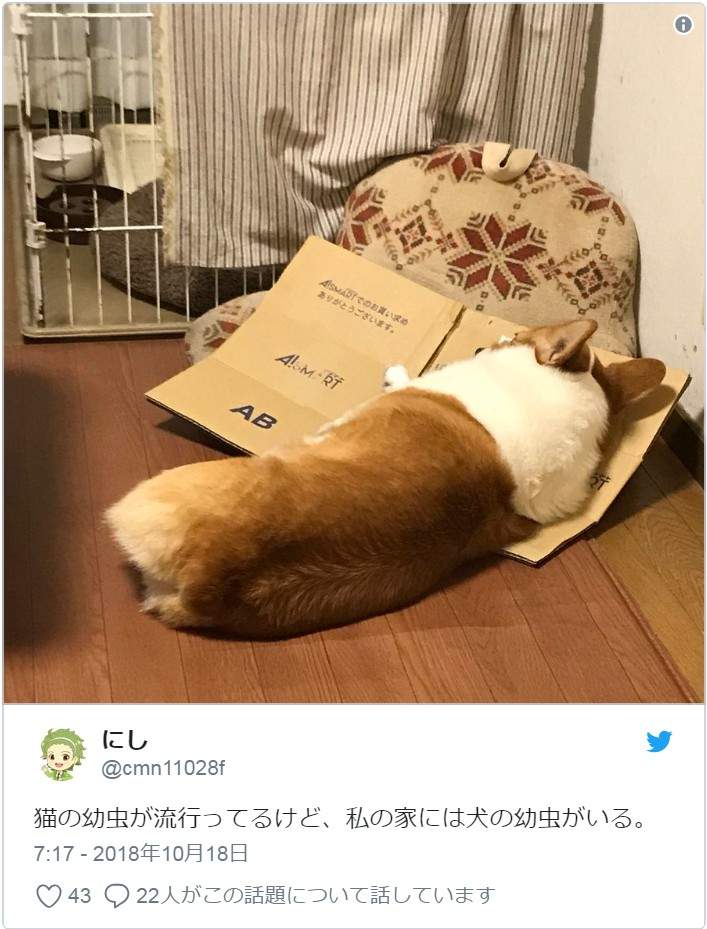 圖片12 圖片12