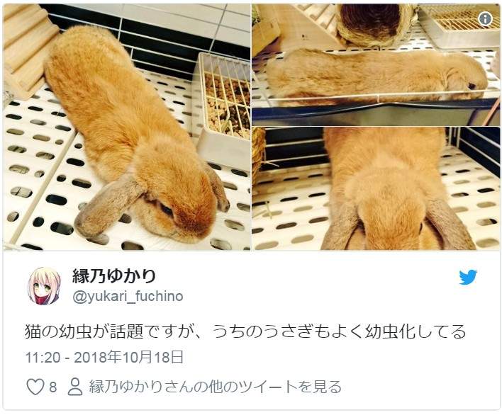 圖片14 圖片14