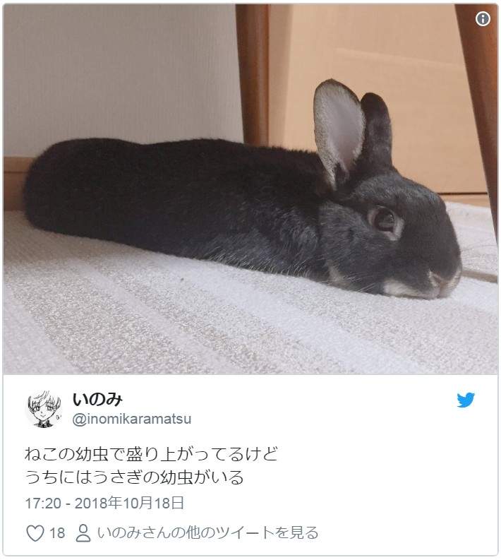 圖片16 圖片16