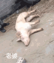 圖片12 圖片12