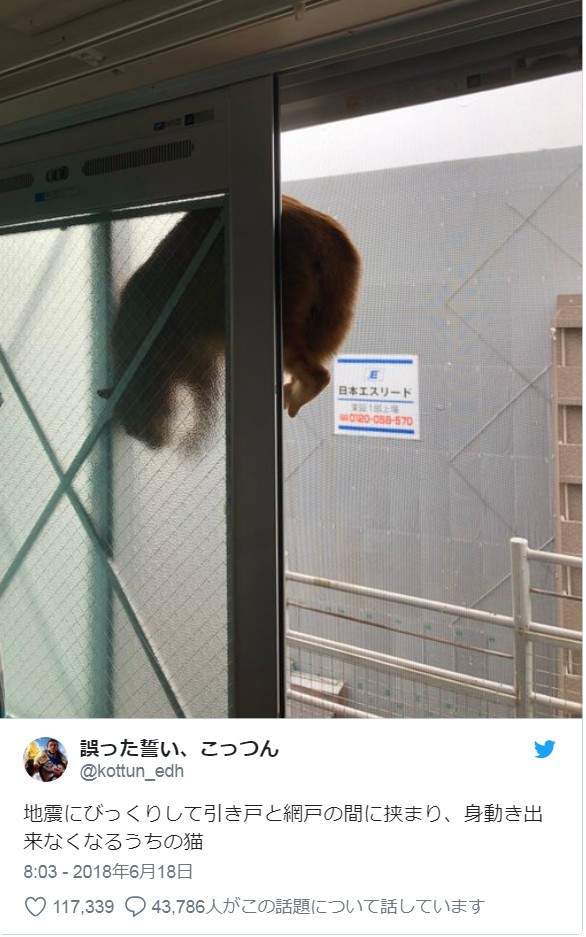 圖片4 圖片4
