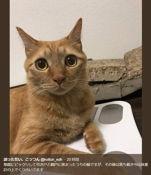 圖片5 圖片5